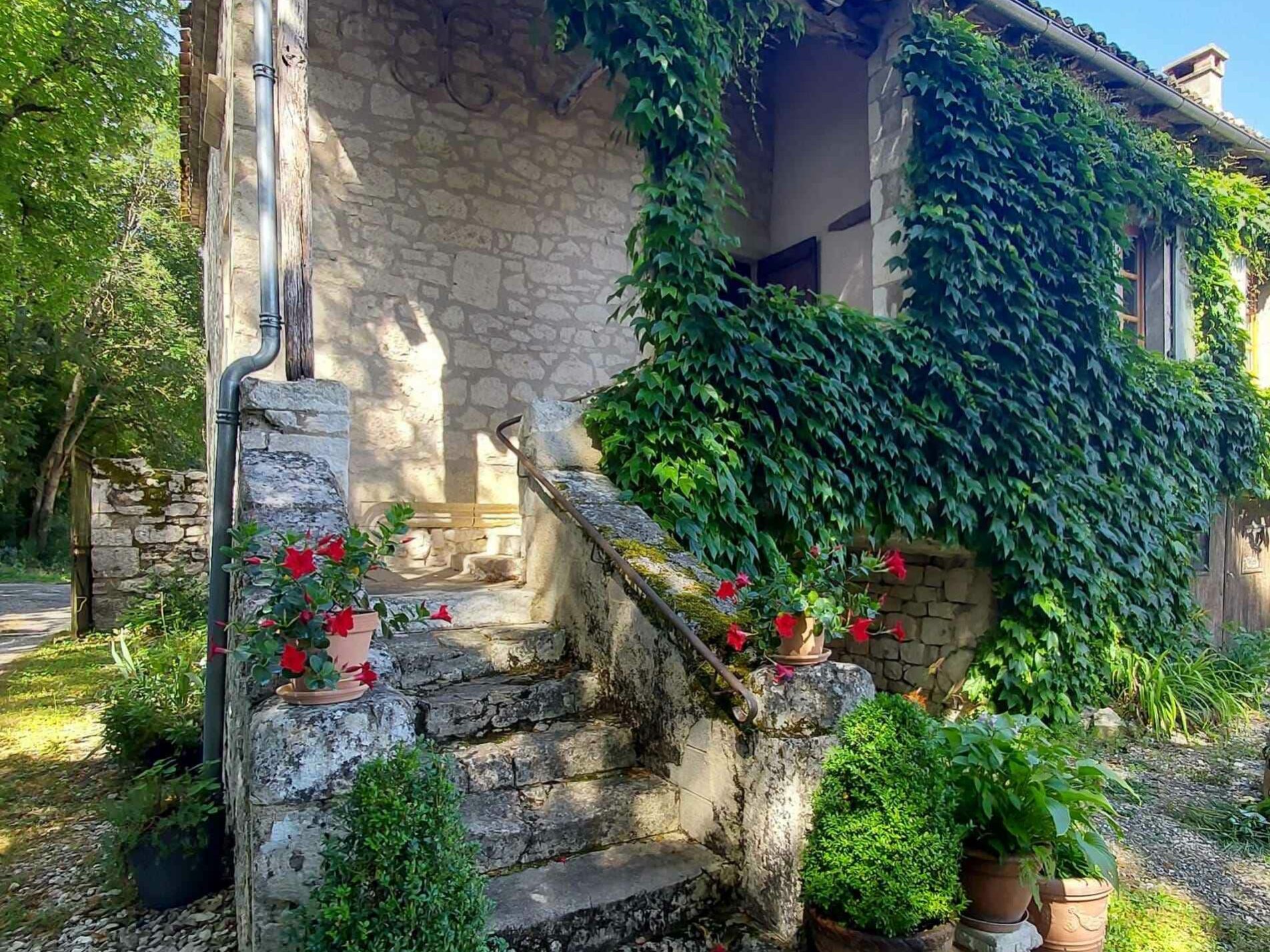 entrée bolet